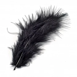 Покрашенные перья — черные (15 шт.)