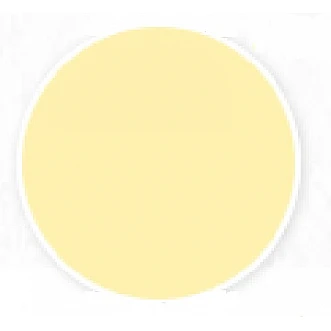 Shimmer Lip Liner - Champagne (25 ml)