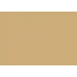 Краска для покраски обуви — бежевый (10 г)