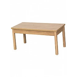 Table (120x60x59)