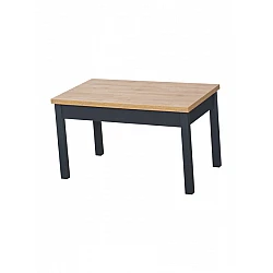 Table (120x60x59)