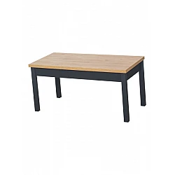 Table (100x60x59)
