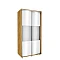 Wardrobe with Mirrors 100x210x60 cm