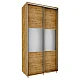 Sliding Wardrobe with Mirror 120x240x60 cm
