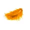 Marabou Stork Feathers – Apricot Colour (17 pcs)