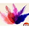 Rooster Feather Assortment (10–12 cm, 24 pcs)