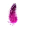 Pearl Chicken Feathers (6–8 cm, 24 pcs) - Fuchsia Pink