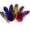 Pearl Hen Feather Assortment (6–8 cm, 24 pcs)