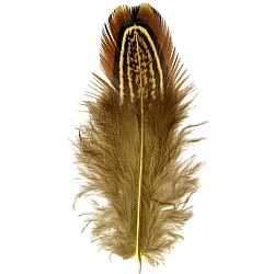 Фазаньи перья с узором (6–8 см, 22 шт.) — жёлтые