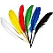Coloured Feathers (17 pcs)