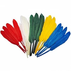 Красочные перья (20 шт.)