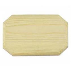 Door backplate (12.5 x 7.8 cm)