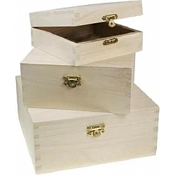Wooden Boxes with Latch (Set of 3)