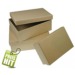 Taisnstūra formas kartona kastīte (16,5 x 11 x 5 cm)