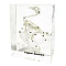 Pigeon Skeleton in Acrylic Block