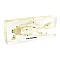 Fish Skeleton in Acrylic Block