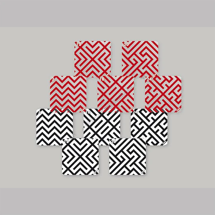 Darba kartītes 9 kubu Logi-kubam "Zebra"