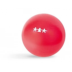 Exercise Ball (65 cm)