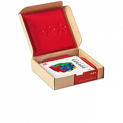 Learning Cards for Construction Set NS4098