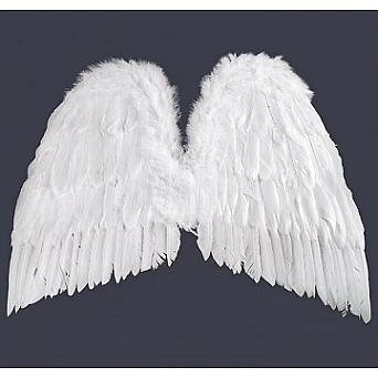 Angel Wings