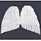 Angel Wings