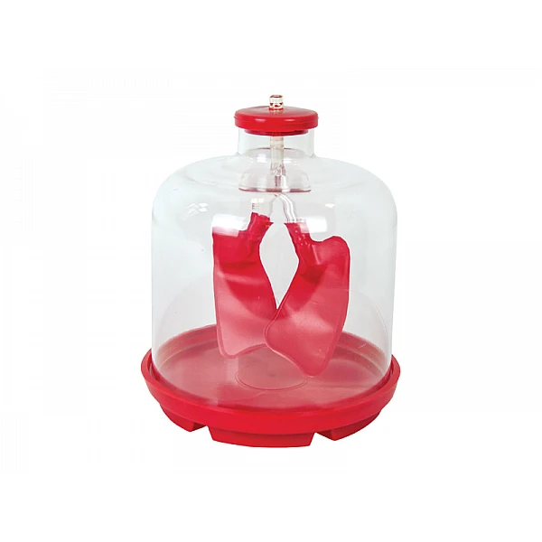 Обучающий набор «Работа лёгких»