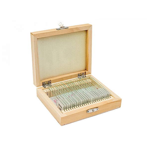 Mikroskopu paraugu komplekts "Cilvēka anatomija" (25gb)