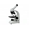 Microscope 40x–400x
