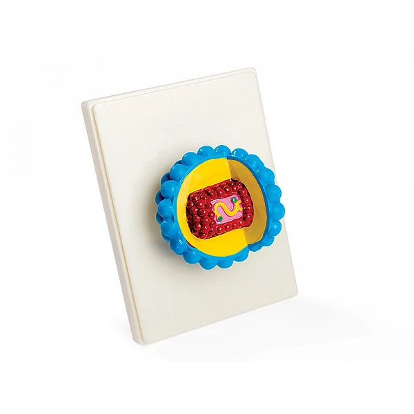 Модель вируса 