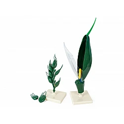 Демонстрационная модель 