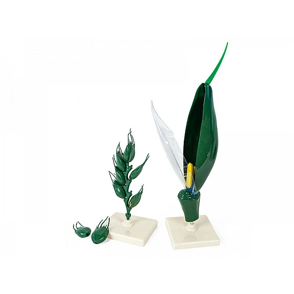 Демонстрационная модель 