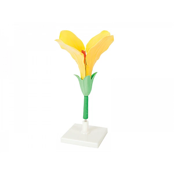 Демонстрационная модель 