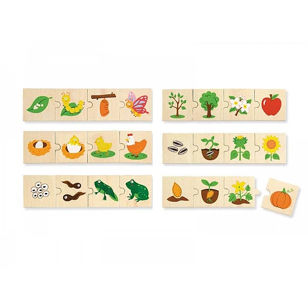 Koka puzle "Augu un dzīvnieku dzīves cikls"