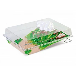 3D Water Cycle in Nature