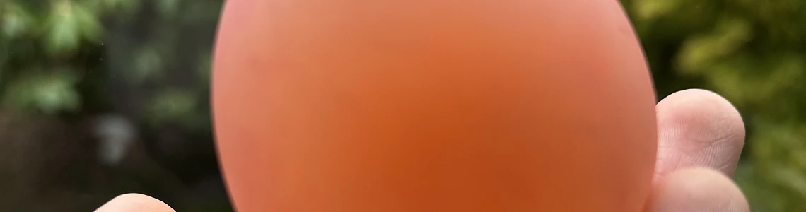 Experiment - Egg in Vinegar