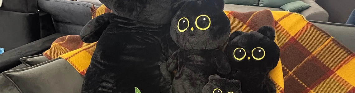 The Black Cat Family of Kanclera Nams