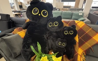 The Black Cat Family of Kanclera Nams