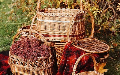 Rudens pilnā sparā!