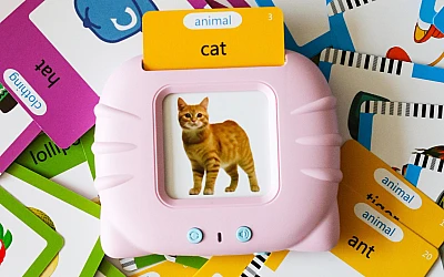 Talking flash cards - Educational toy for toddlers!