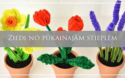 Izveido māmiņai skaistu ziedu pušķi Mātes dienā!