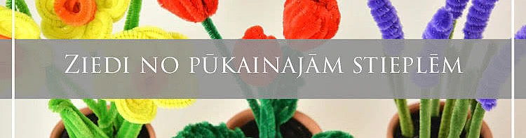 Flowers made from pipe cleaners!