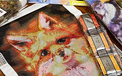 Diamond Painting Kits!
