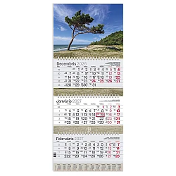 Wall Calendar STANDART 2027, #2