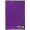Glossy Paper Pack - Purple (80 g, 25 pcs.)