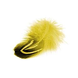 Fazāna spalvas ar rakstu (6 -8  cm, 22 gab.) - dzeltenas