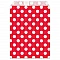 Gift Bags - Red (13 x 16.5 cm, 25 pcs)