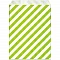 Gift Bags - Green (13 x 16.5 cm, 25 pcs)