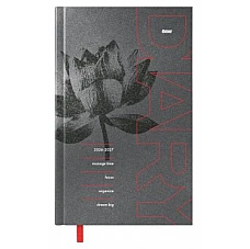 Skolēna dienasgrāmata, Design