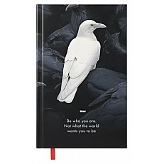 Skolēna dienasgrāmata, Design