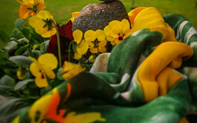 Lakatiņi uzziedējuši